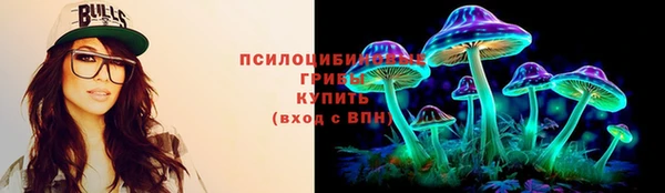 герыч Алексин