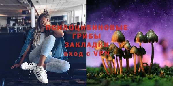 стафф Алзамай