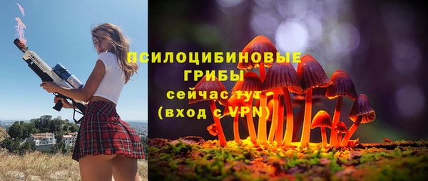 стафф Алзамай