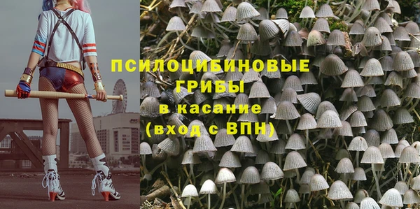 герыч Алексин