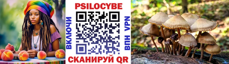 Псилоцибиновые грибы ЛСД Нижняя Салда